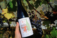 Load image into Gallery viewer, Sarabande