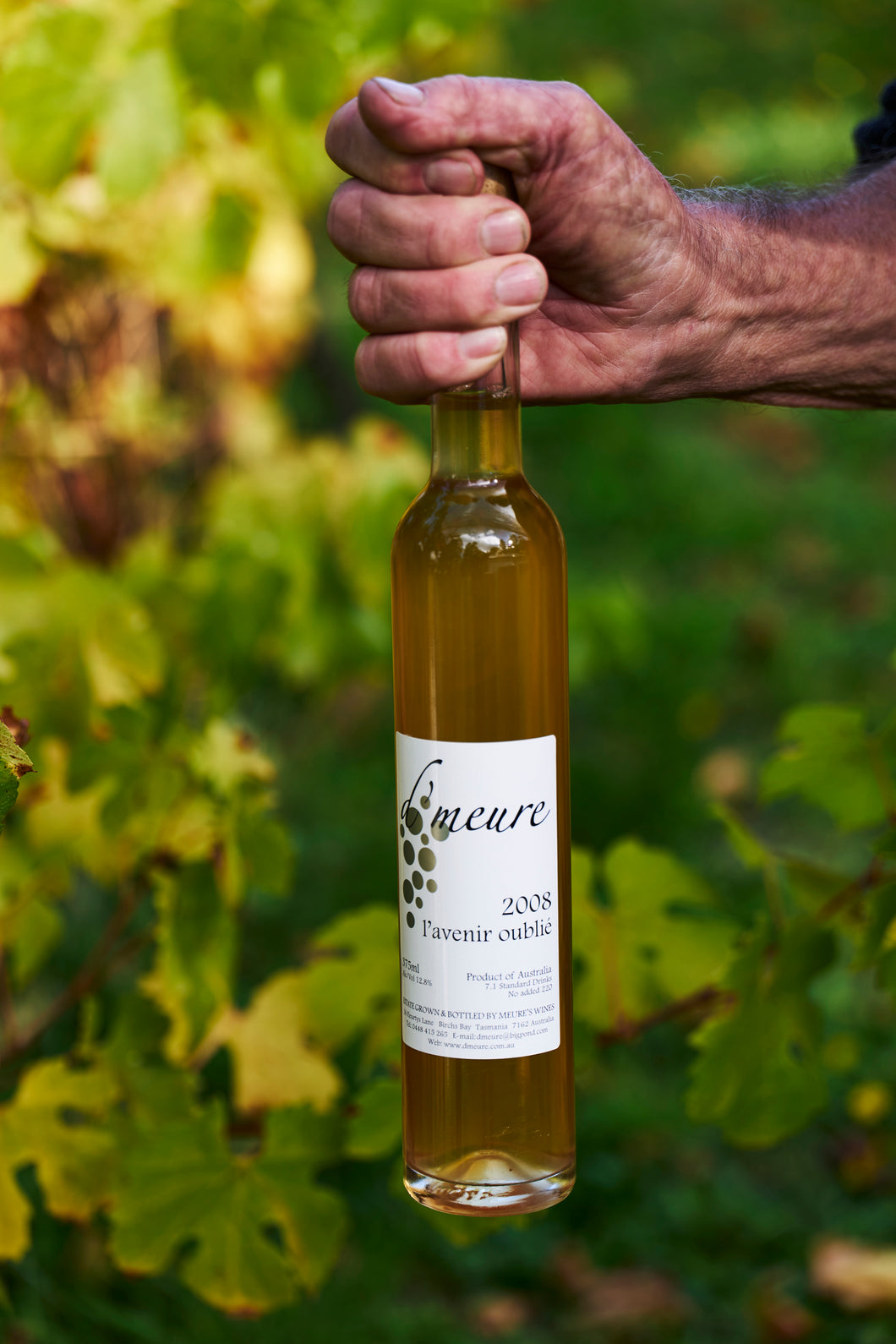 d'meure 2008 l'avenir oublié